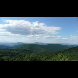 🎉 Posh Ambassador 🎉